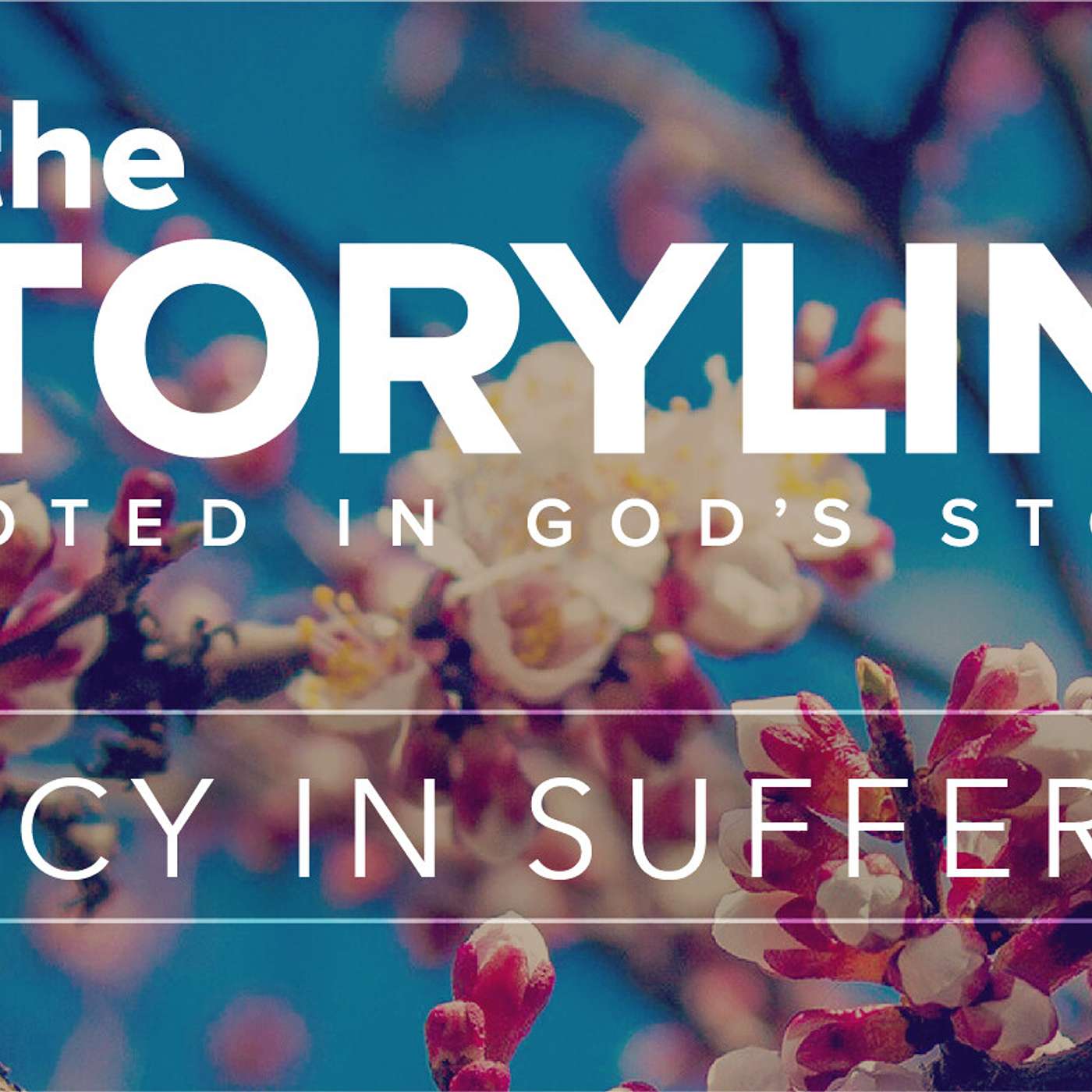 The Storyline | Worship In The Midst Of Suffering (Audio) episode artwork