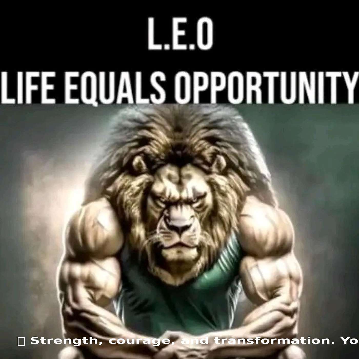 Life Equals Opportunity – A Podcast on Recovery, Resilience, and the Viking Spirit
