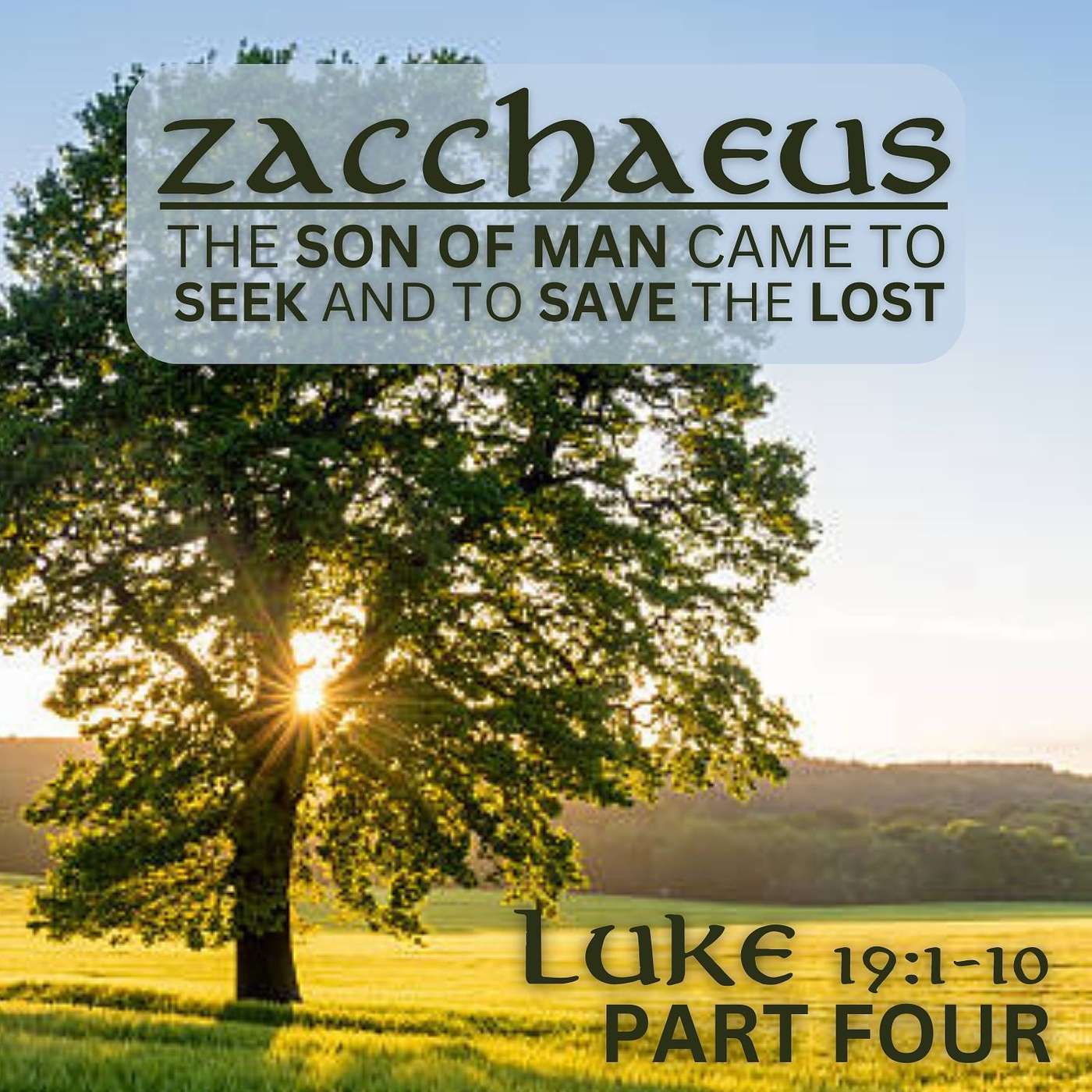 The Son of Man Came to Seek and to Save the Lost, Part 4; Luke 19:1-10