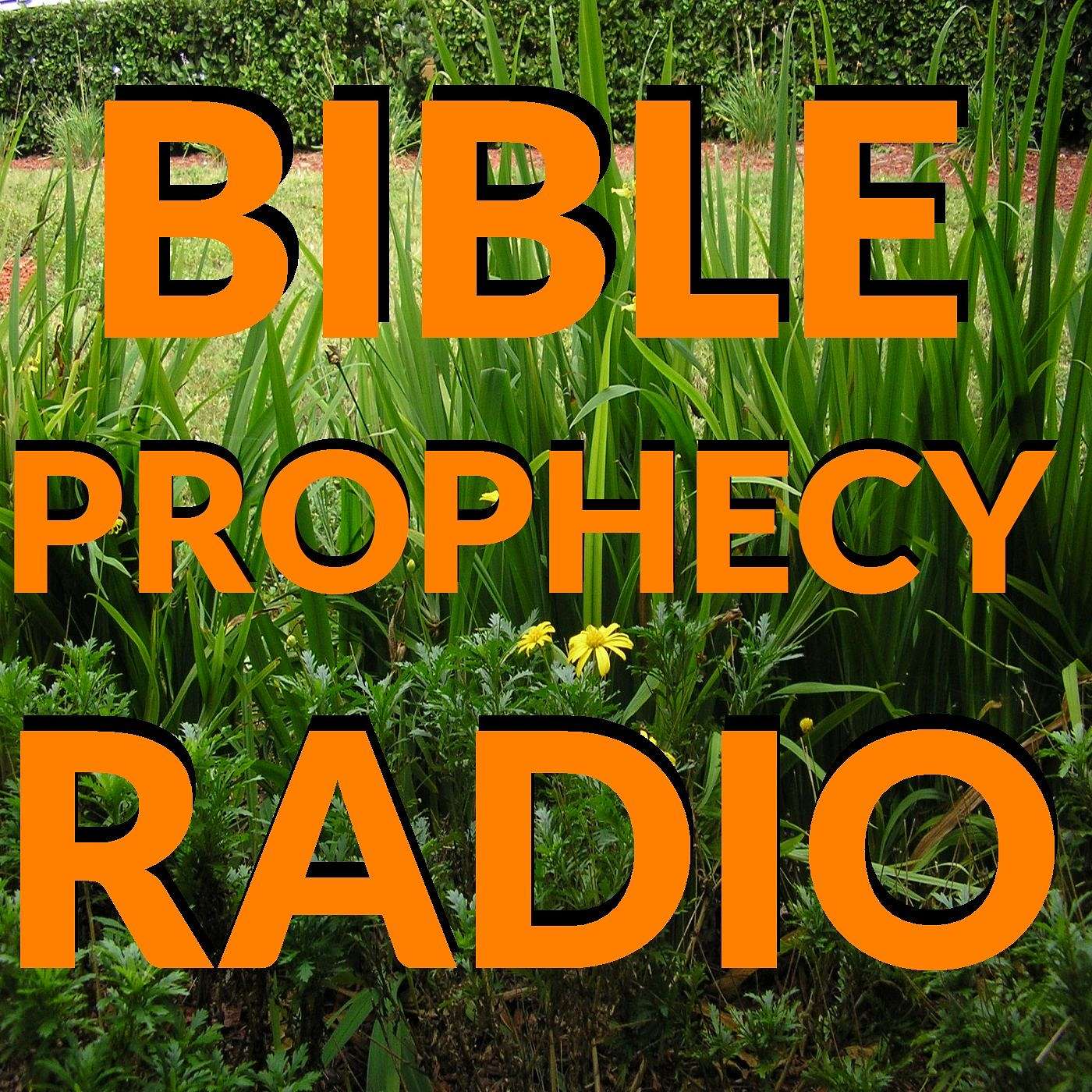 EPISODE 7 HOW TO UNDERSTAND PROPHECY WITH SPECIAL GUEST RT BYRUM