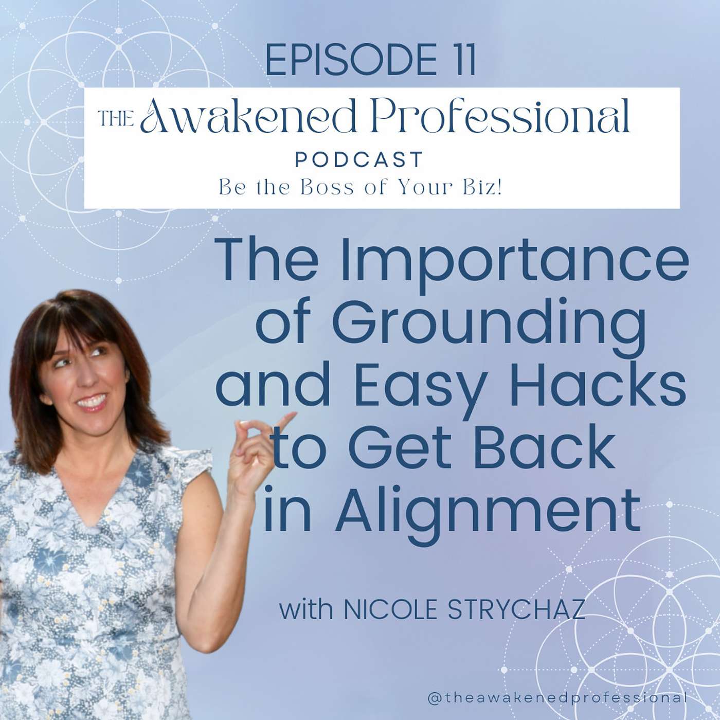 The Awakened Professional