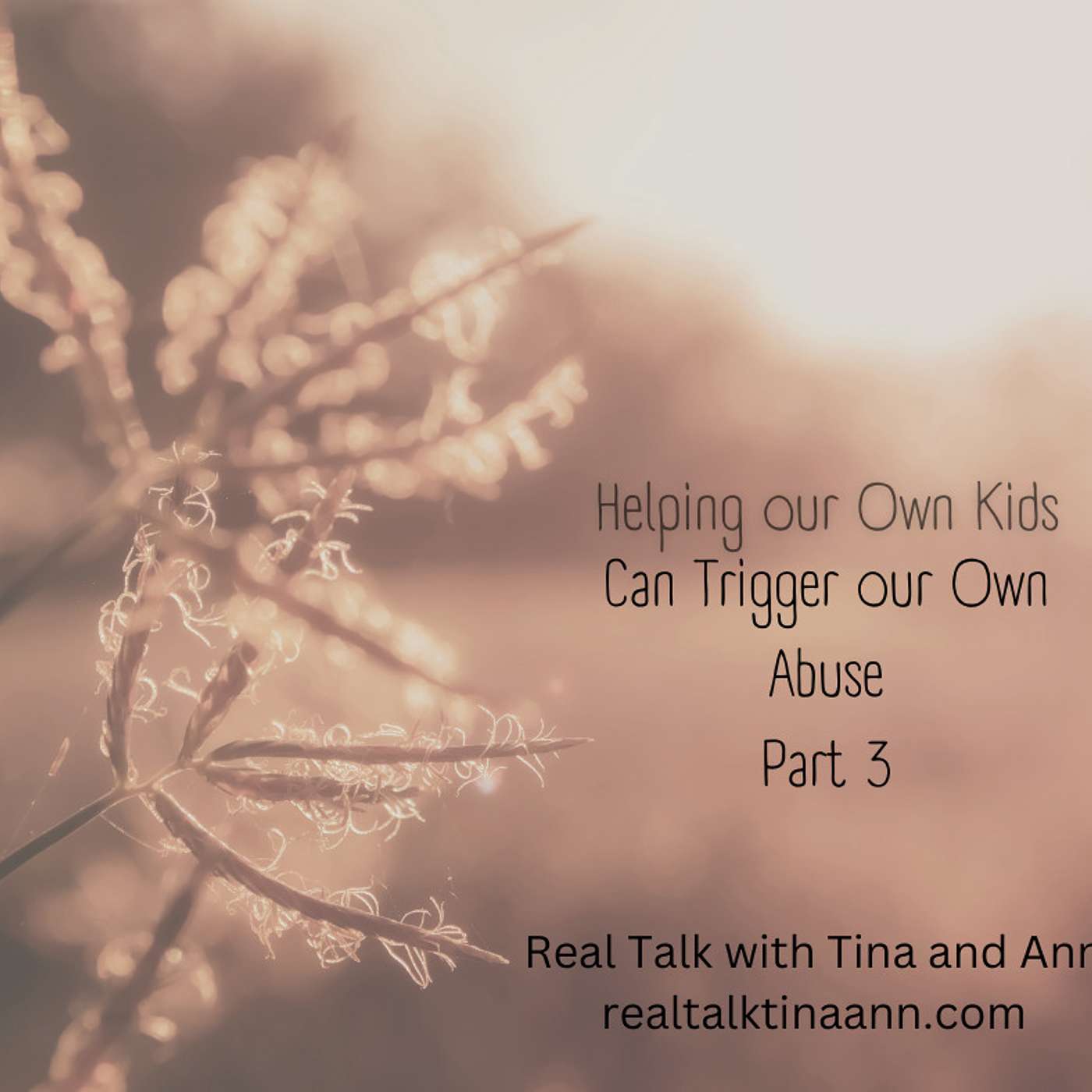 Helping our Kids Through Trauma can Trigger Our Own Abuse Part 2