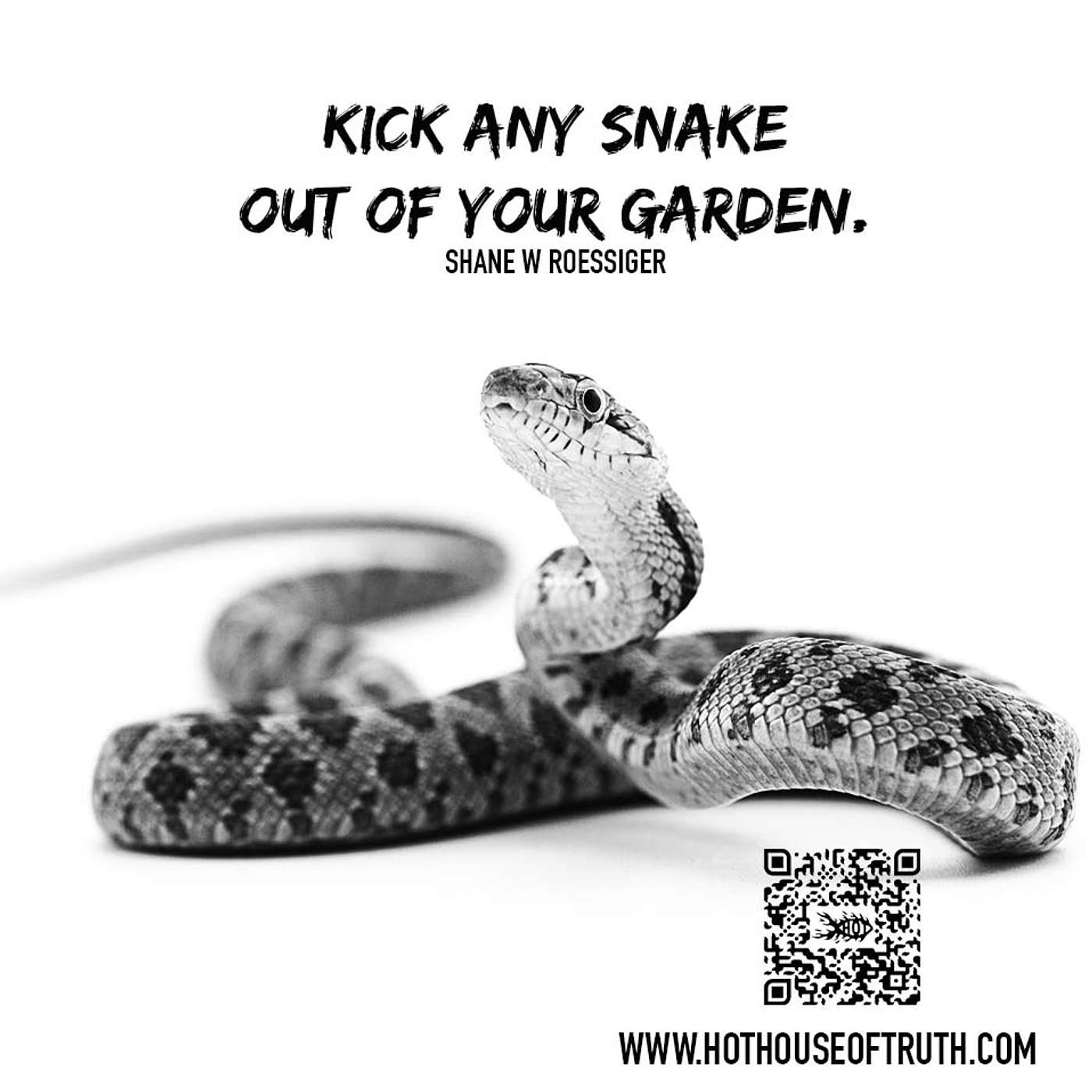 Snakes In Your Garden By Shane W Roessiger