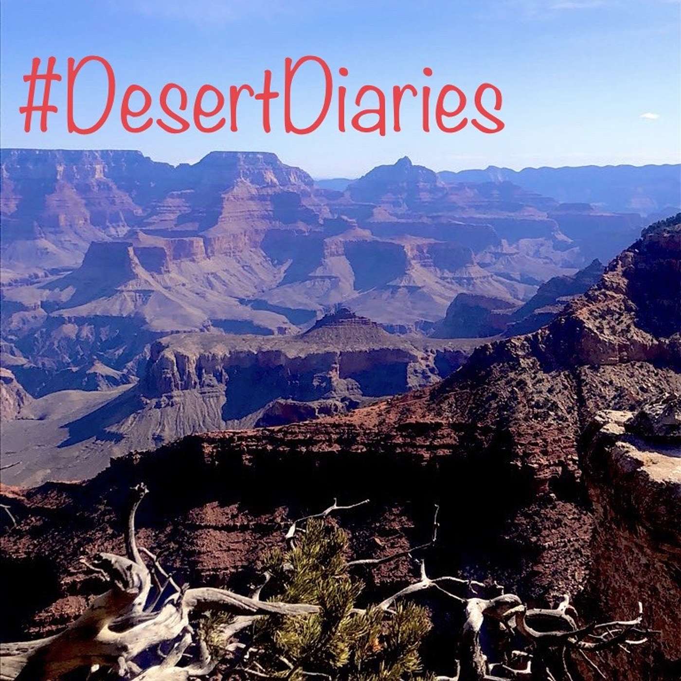 Week forty-four: Speechless in the canyon
