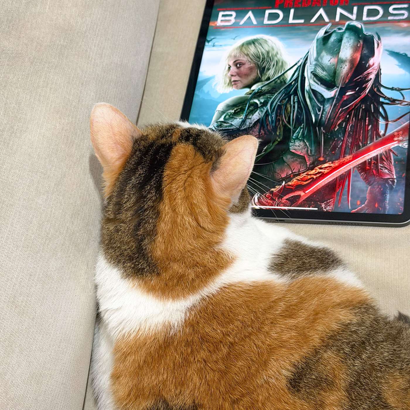 【鮑鮑電影院EP07】高明的重啟,如同文藝復興的復古,是為了未來的創新:《終極戰士:殺戮星球》(Predator: Badlands,2025) 【鮑鮑電影院EP07】高明的重啟,如同文藝復興的復古,是為了未來的創新:《終極戰士:殺戮星球》(Predator: Badlands,2025)