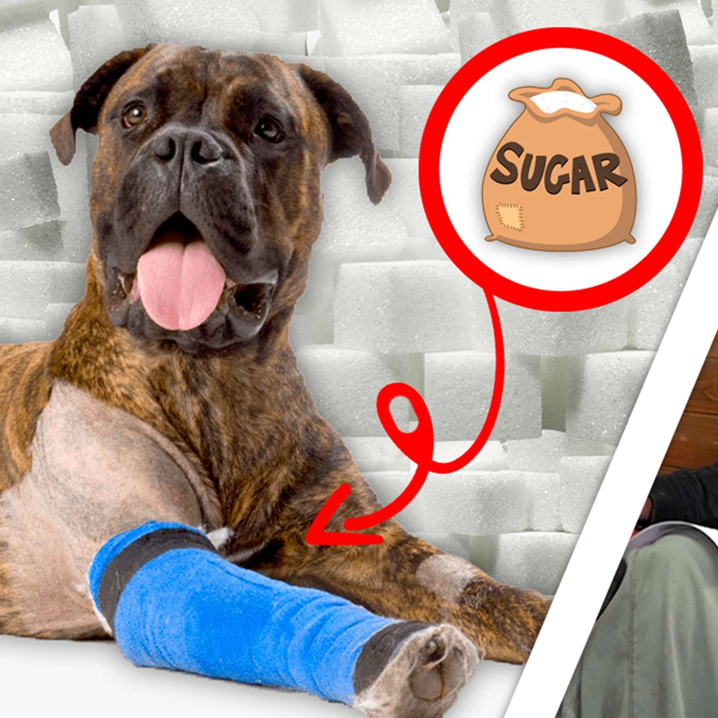 How & Why We Sugar Pack Wounds