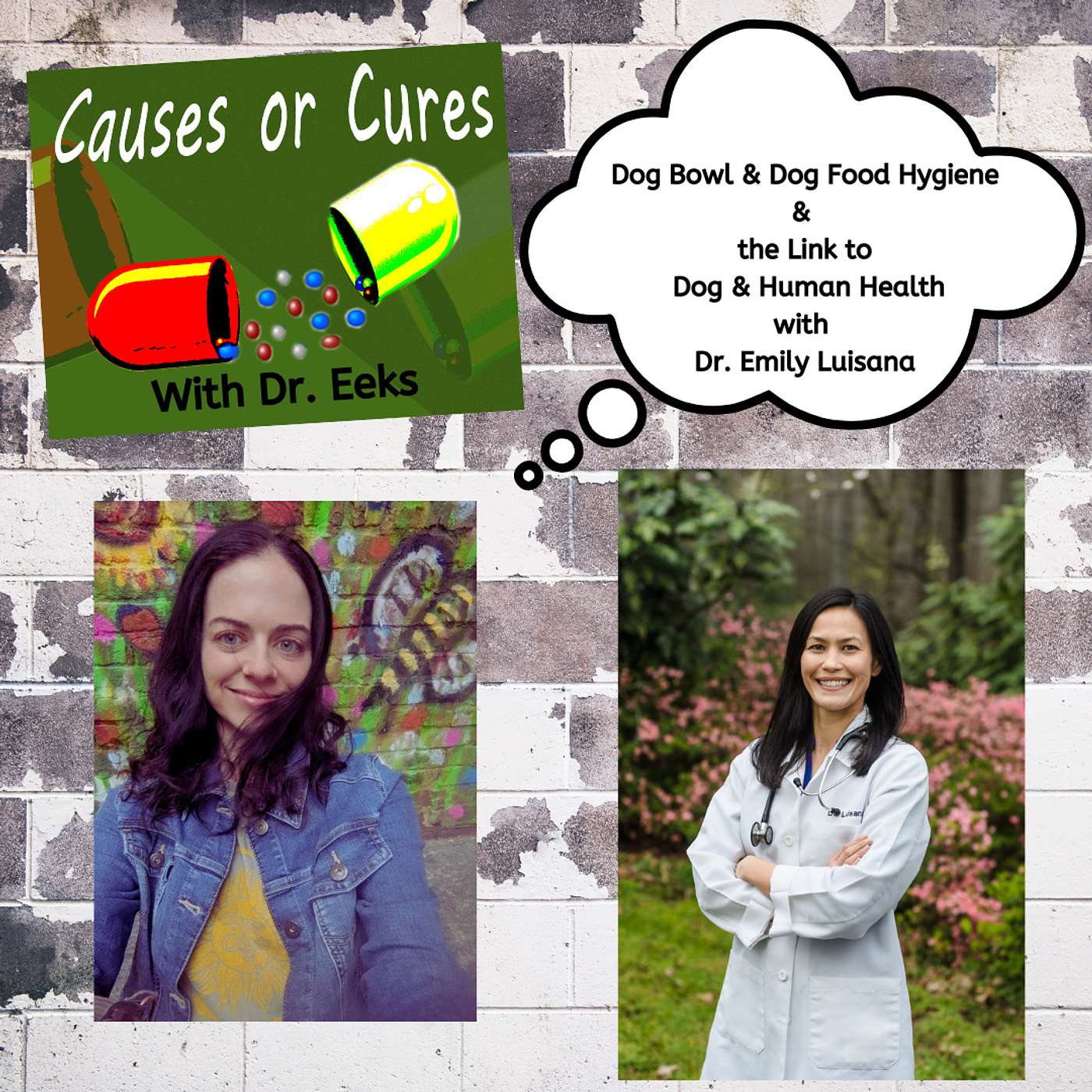 Hygienic Chow: Dog Bowl Cleanliness and the Intersection with Human Health, with Dr. Emily Luisana