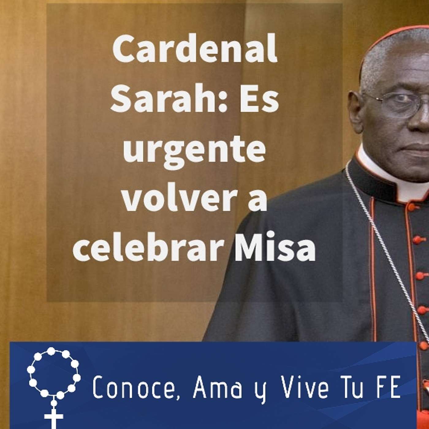 Episodio 355: 🙂 Cardenal Sarah: ✝ Es urgente volver a celebrar Misas con fieles sin experimentos rituales 🙏 episode artwork