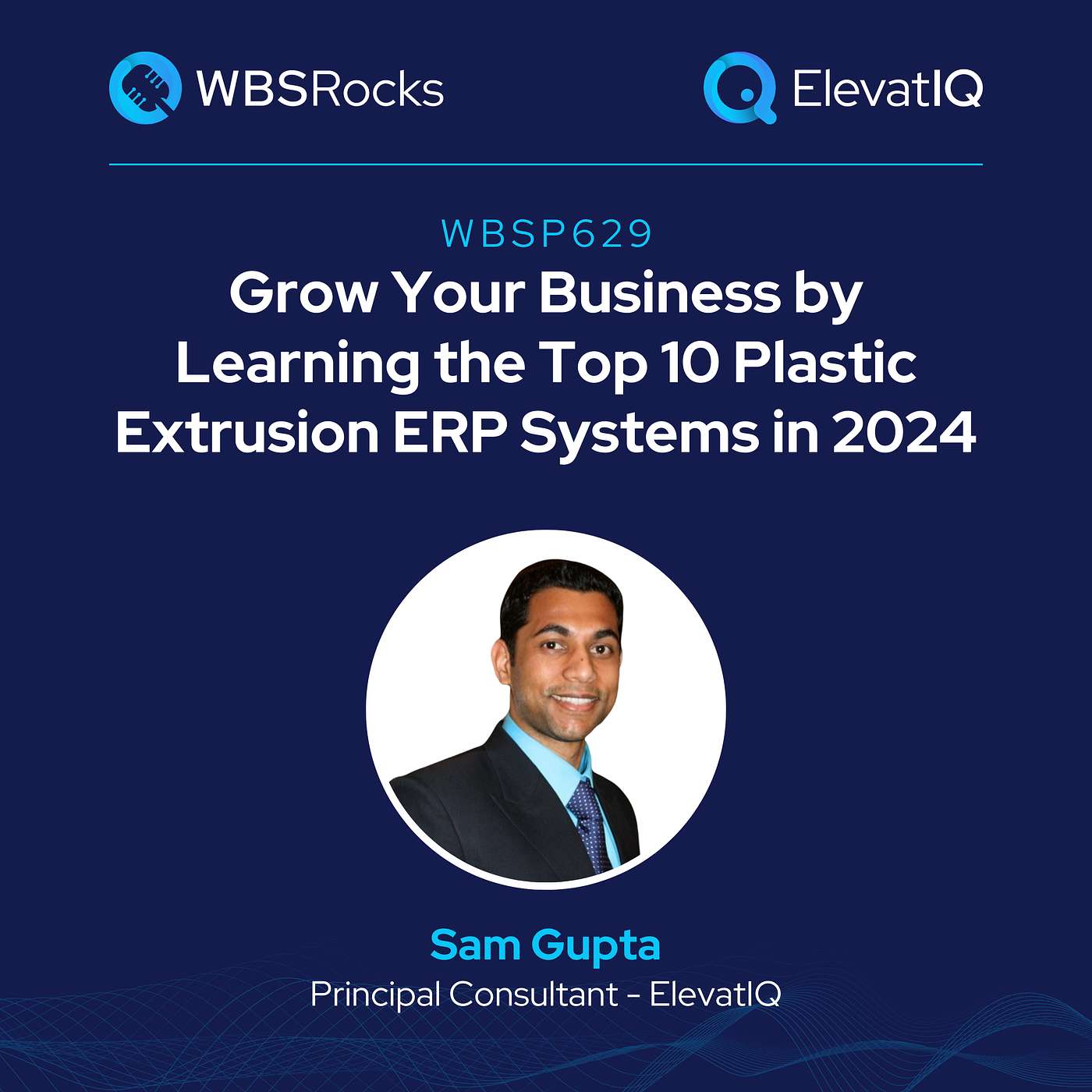 WBSRocks: Business Growth with Enterprise Software and Digital Transformation