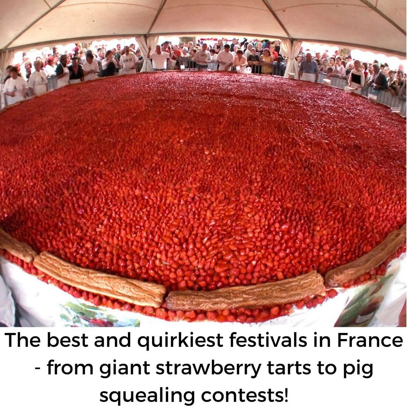 #14 - Fabulous and frankly quirky French festivals episode artwork