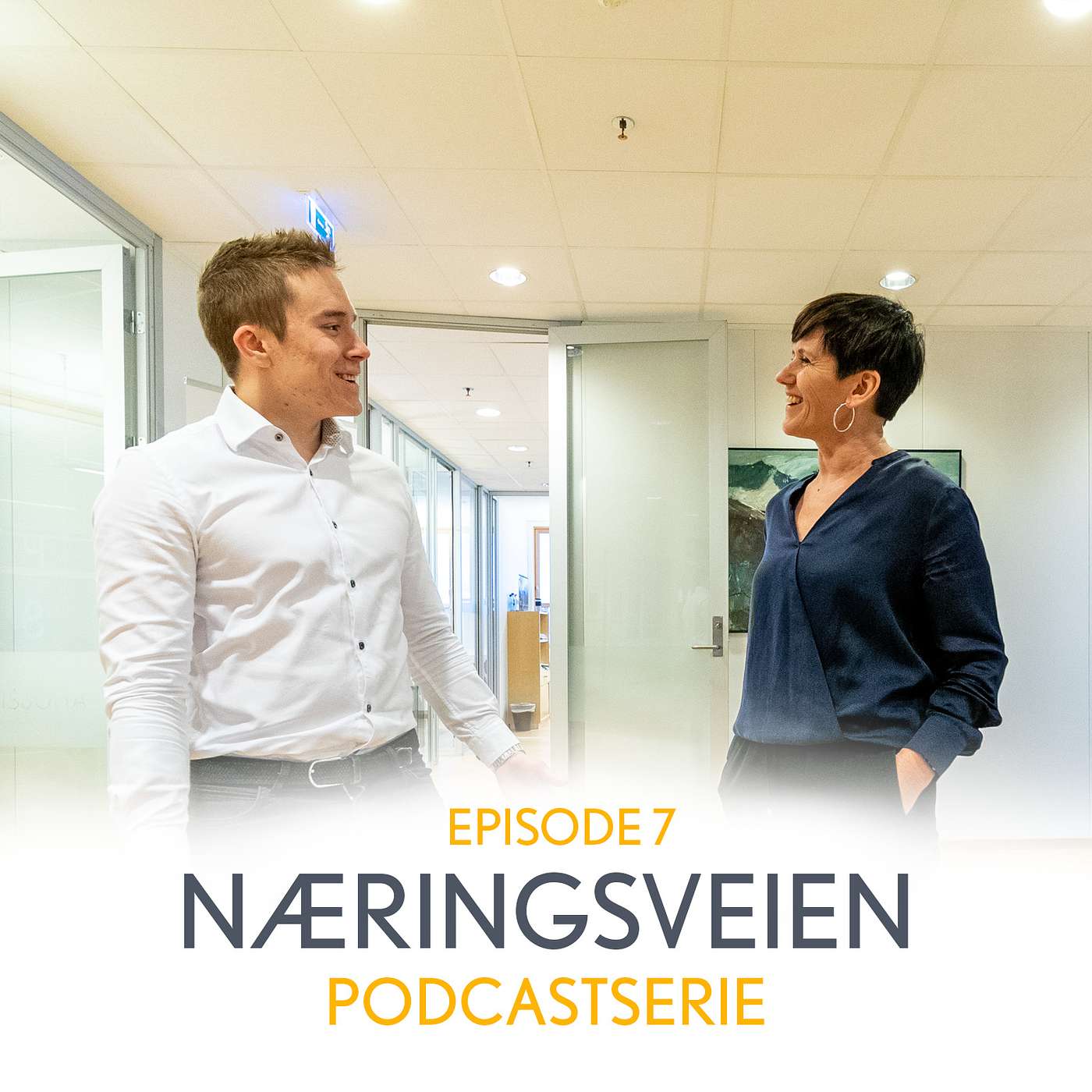 Næringsveien
