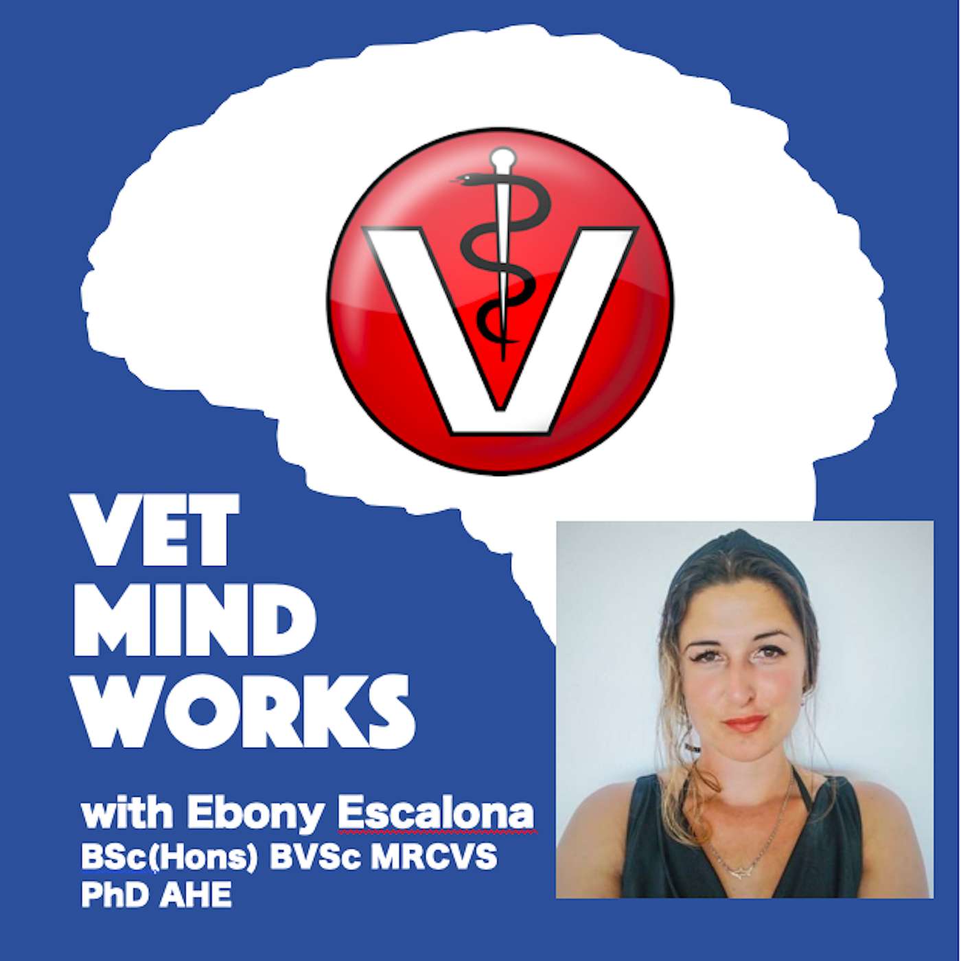 Vet Mind Works Podcast