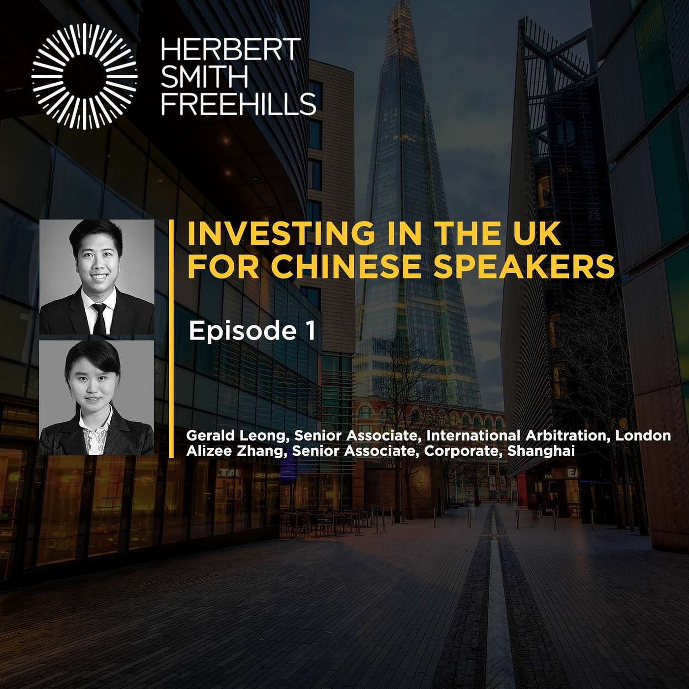 Investing in the UK For Chinese Speakers: EP1 Introduction to English Law episode artwork
