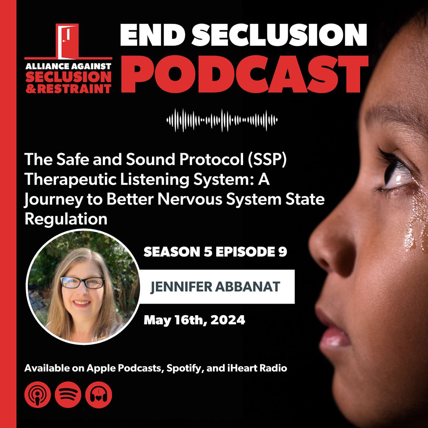 The Safe and Sound Protocol (SSP) Therapeutic Listening System: A Journey to Better Nervous System State Regulation