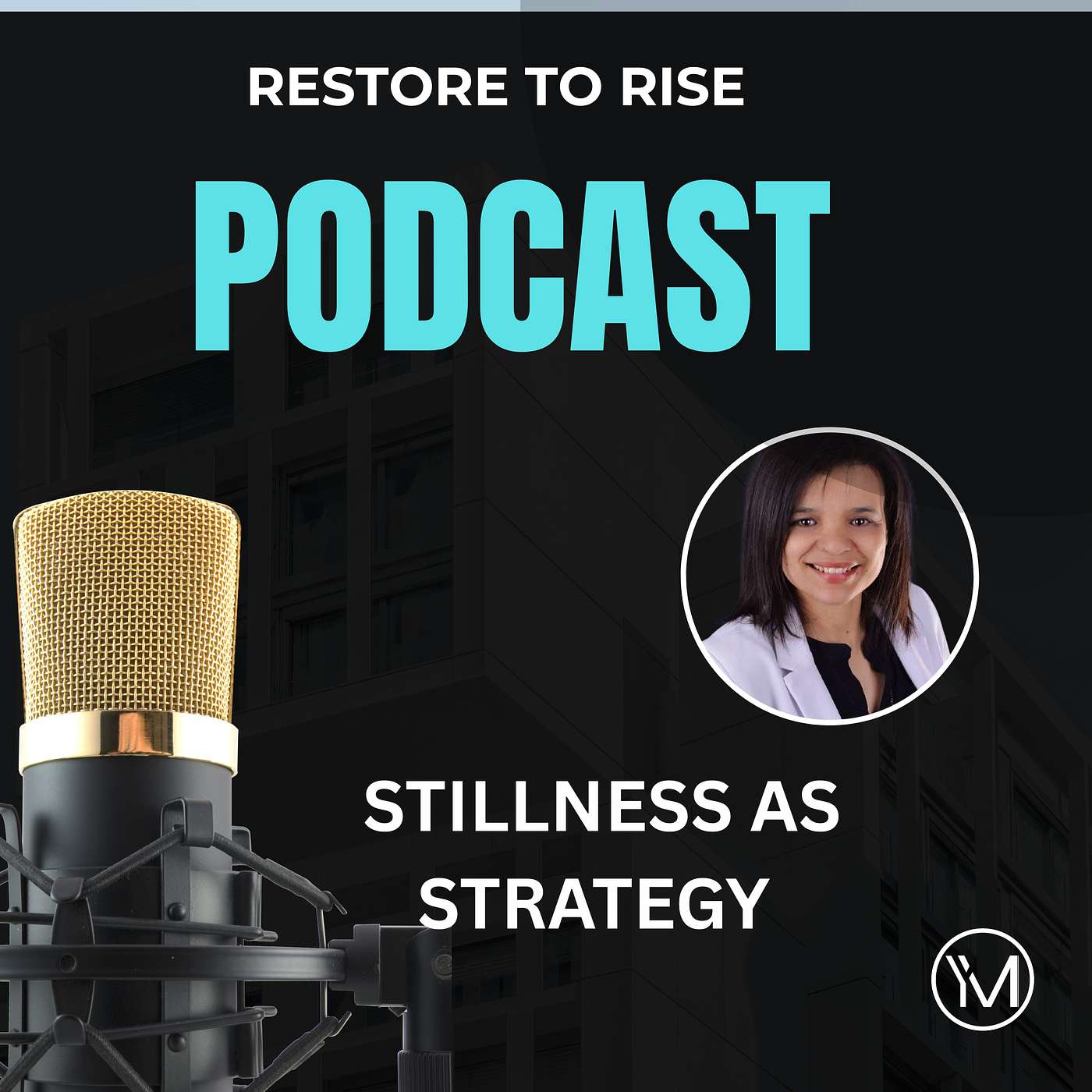 Stillness As Strategy episode artwork