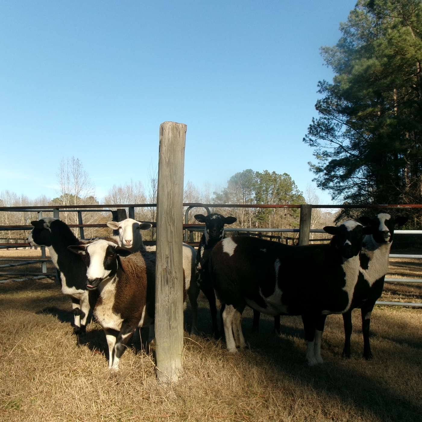 entry #019: i am the universe, my cup runneth over