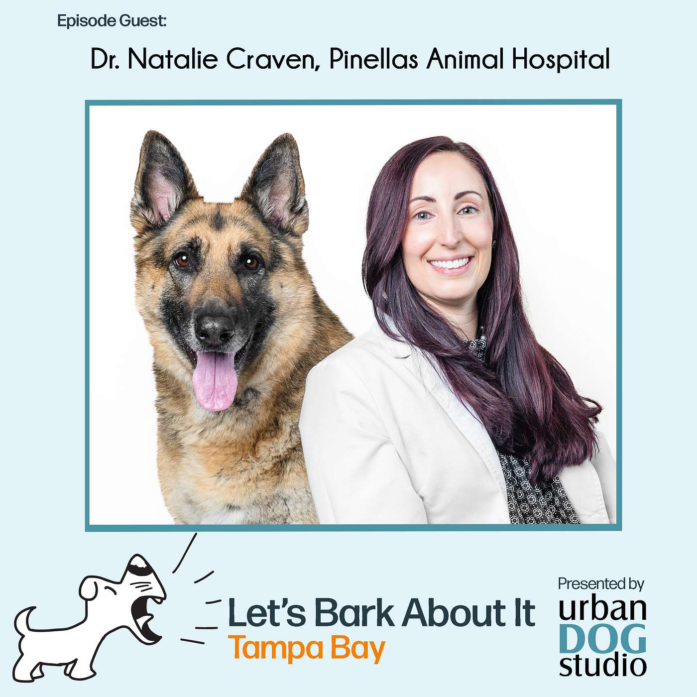 Let\'s Bark About It Tampa Bay!