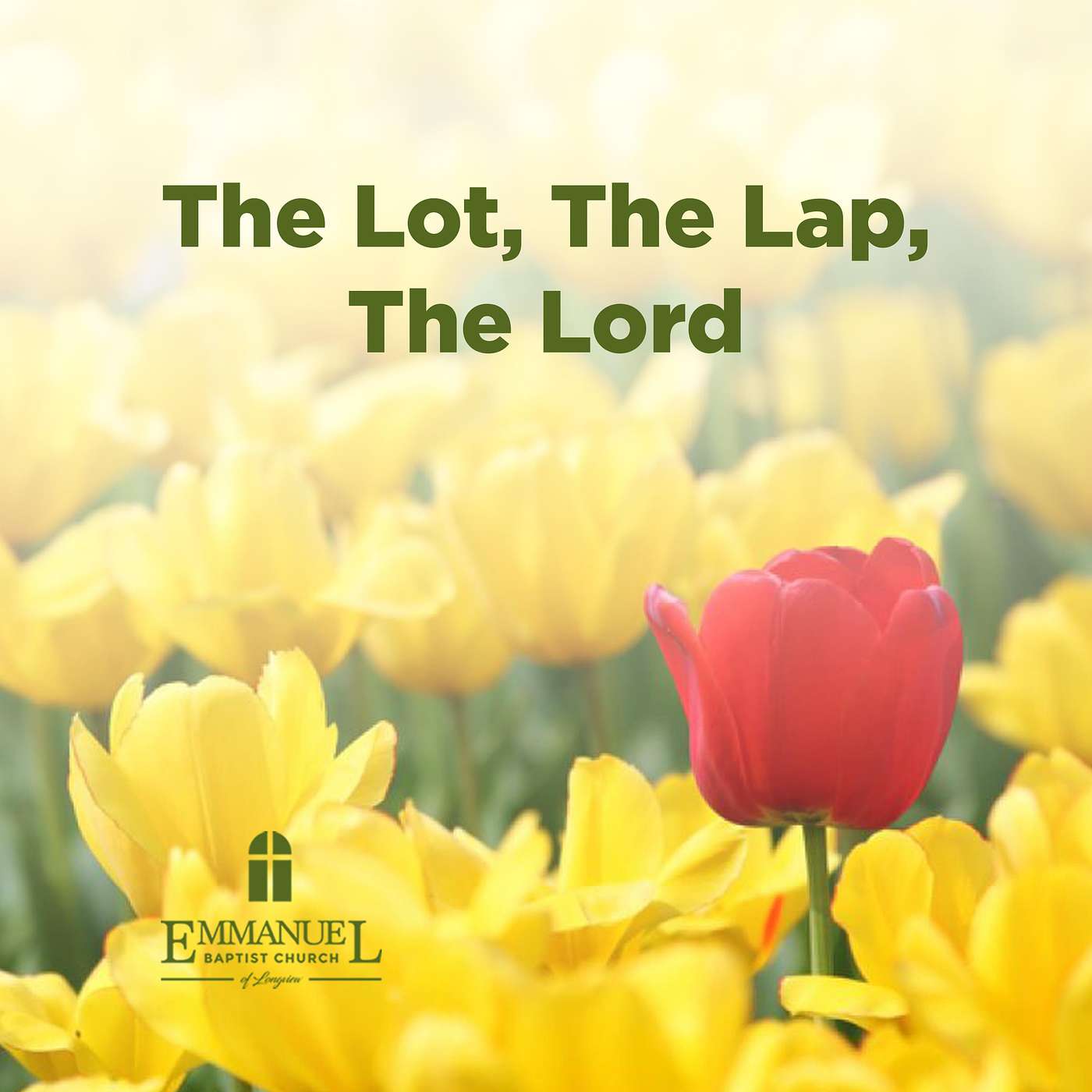 The Lot, The Lap, The Lord - Sunday AM 03/20/2022 - Pastor Bob Gray II episode artwork