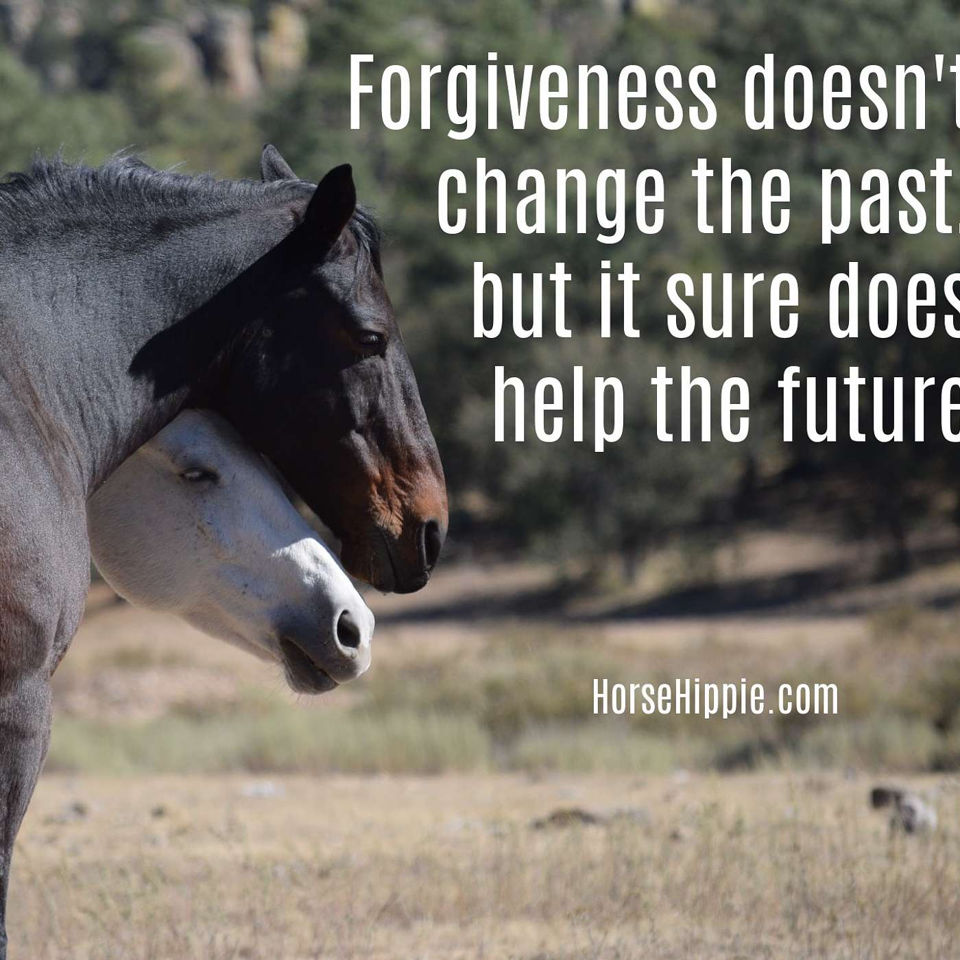 Be a Forgiver episode artwork