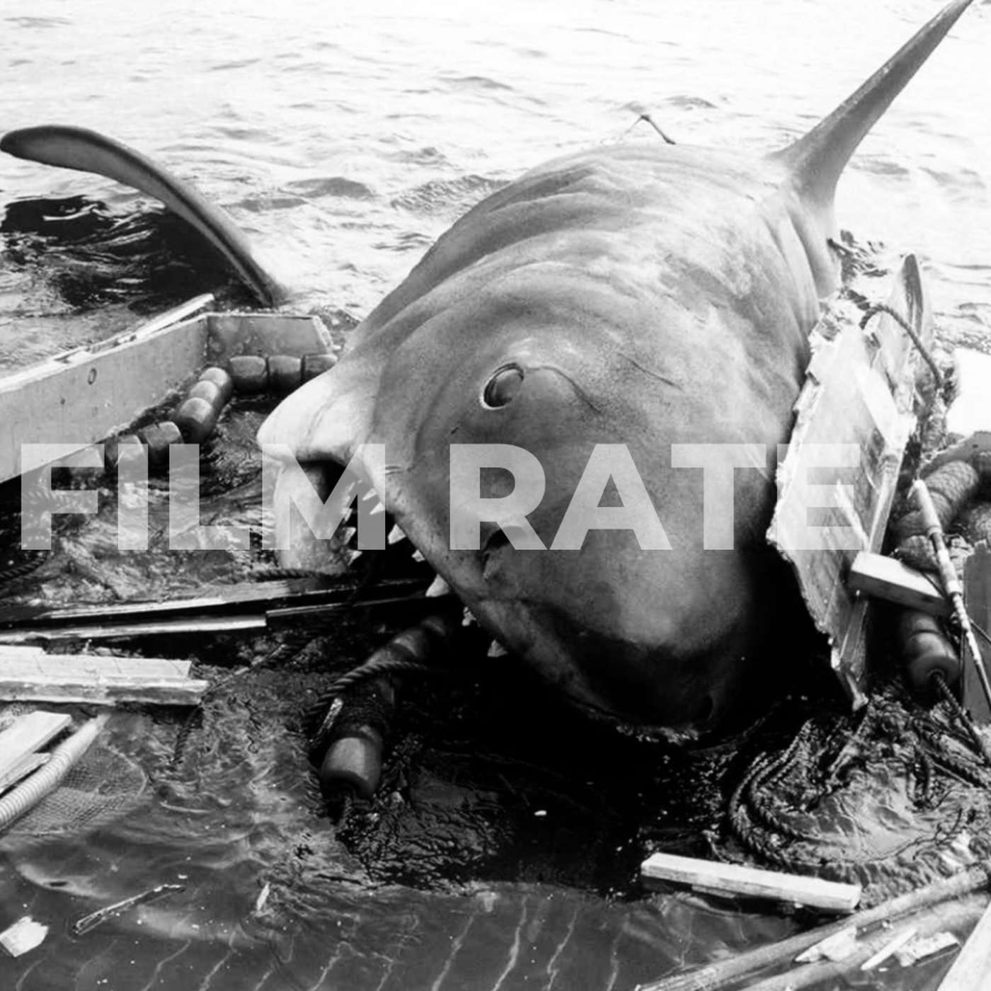 Jaws (50th Anniversary) - 1975 Jaws (50th Anniversary) - 1975