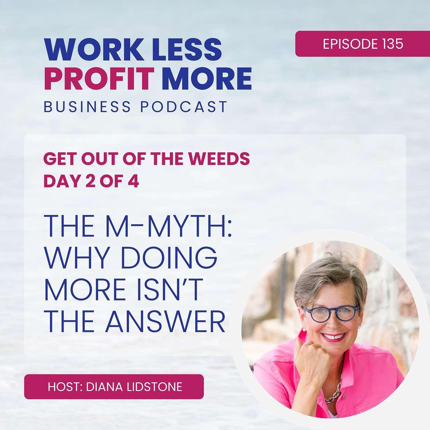 Work Less PROFIT More Business Podcast