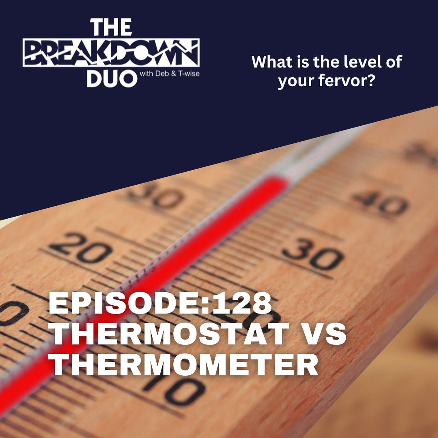 Thermometer vs Thermostat