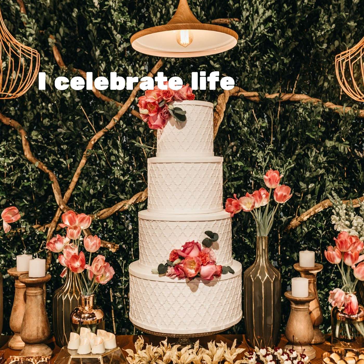 #321 I celebrate life episode artwork