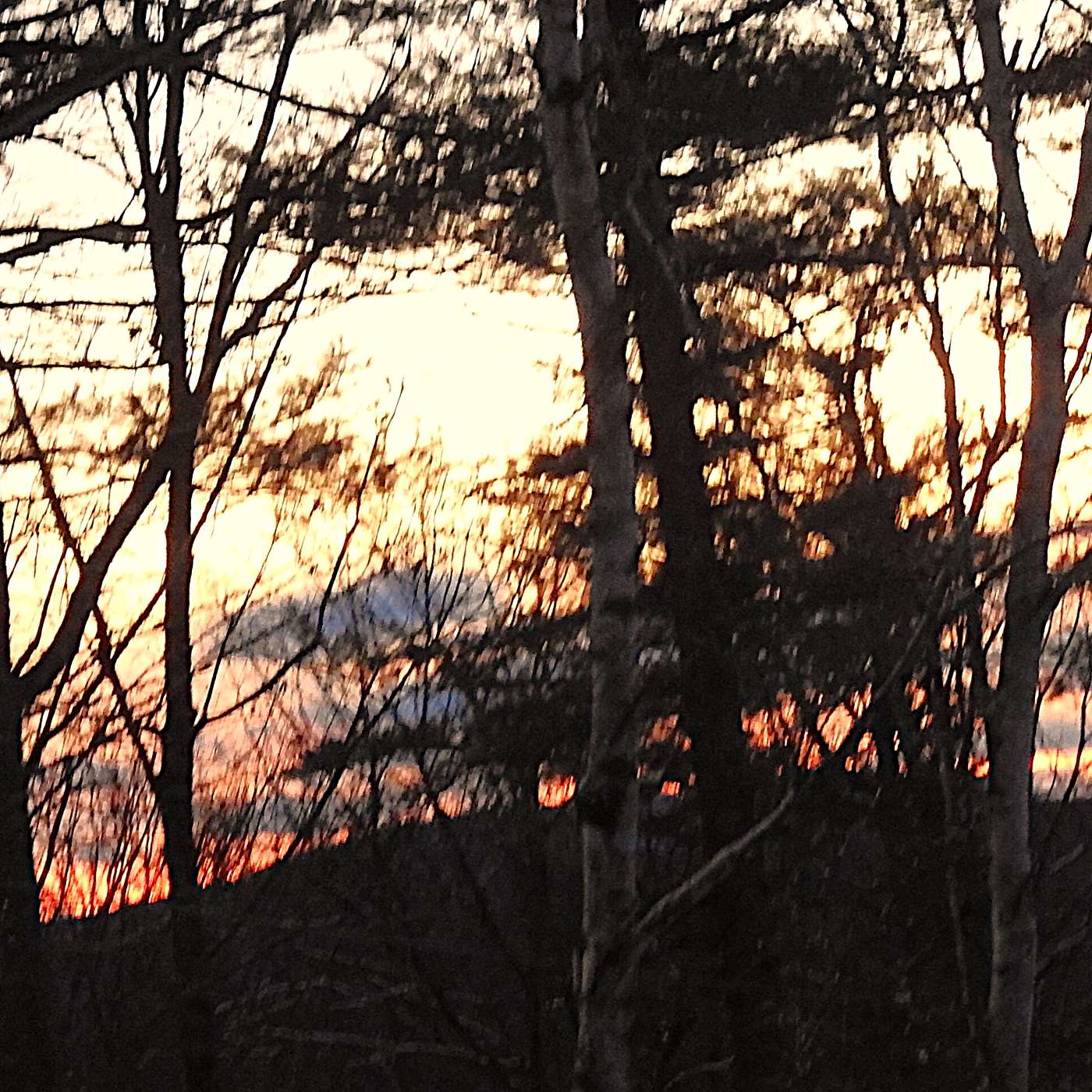 THE SHORTEST DAY