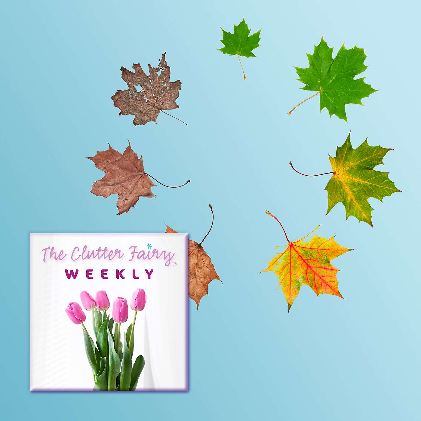 The Clutter Fairy Weekly