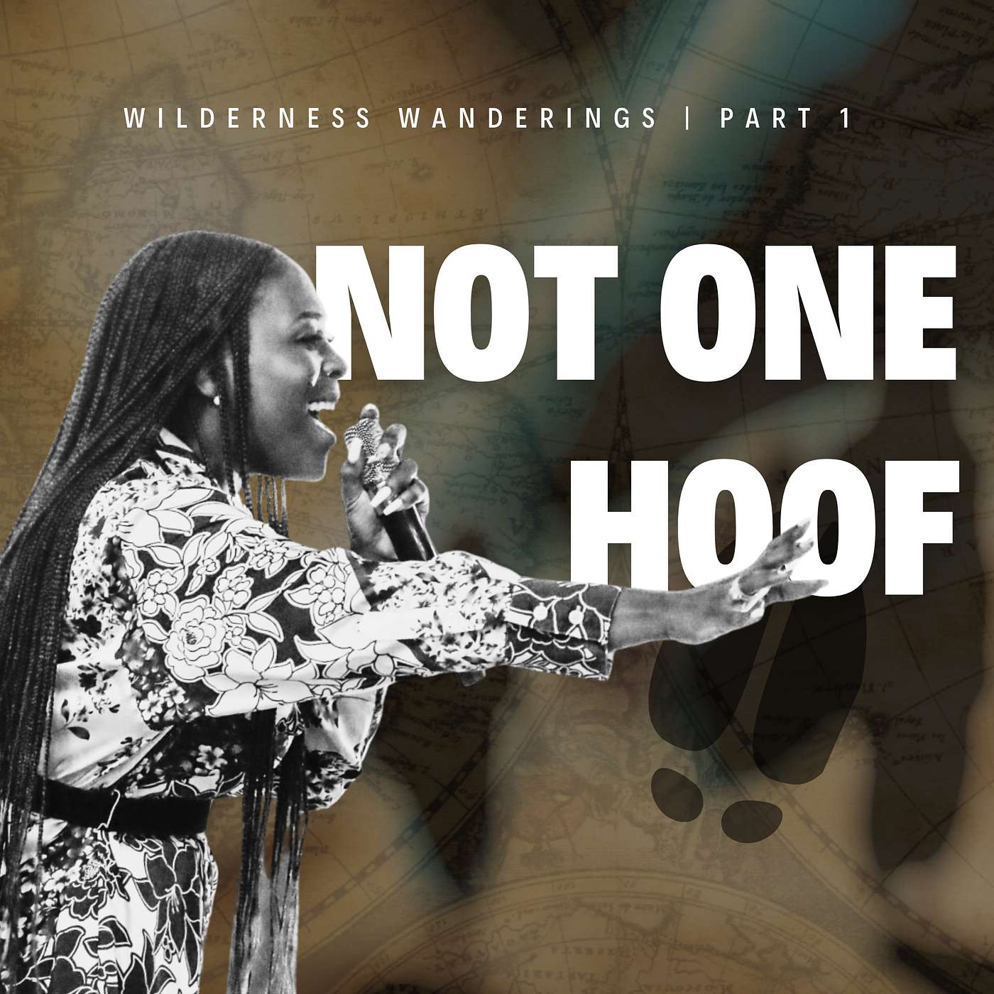 Not One Hoof Not One Hoof