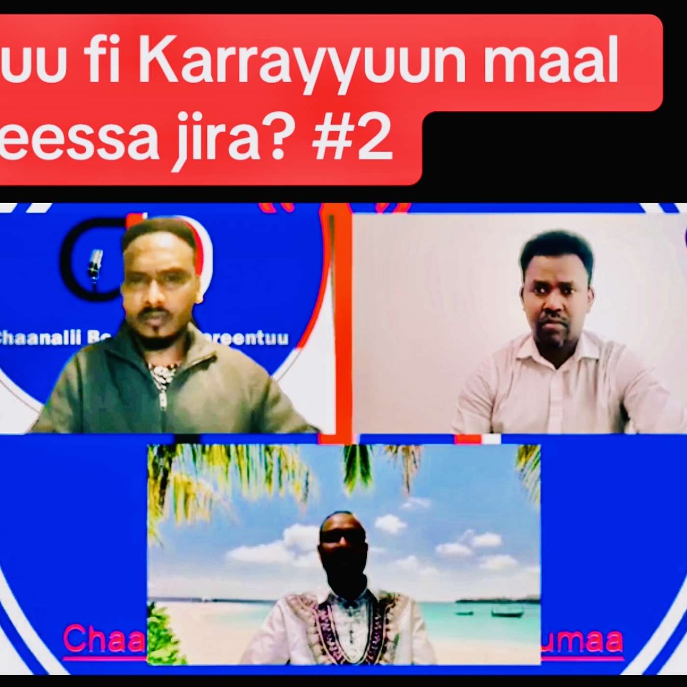 Dhalattoonni Karrayyuu maal jedhan? Ituu fi Karrayyuu rakkoo hamtuu keessa jira.