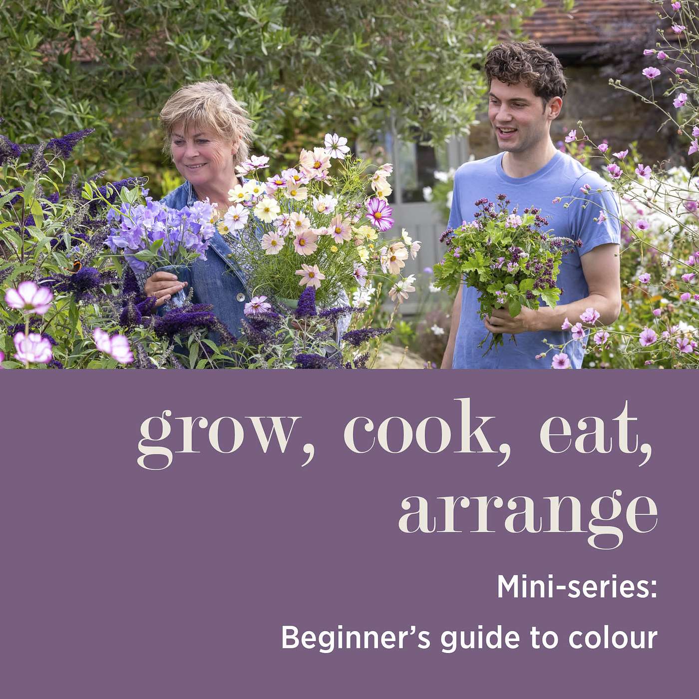 cover of episode MINI-SERIES: Beginner’s Guide to Colour