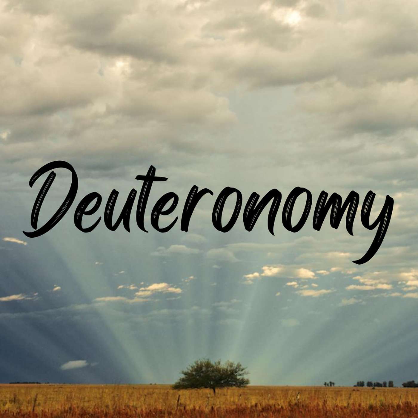 Look At The Book Episode #5: Deuteronomy episode artwork