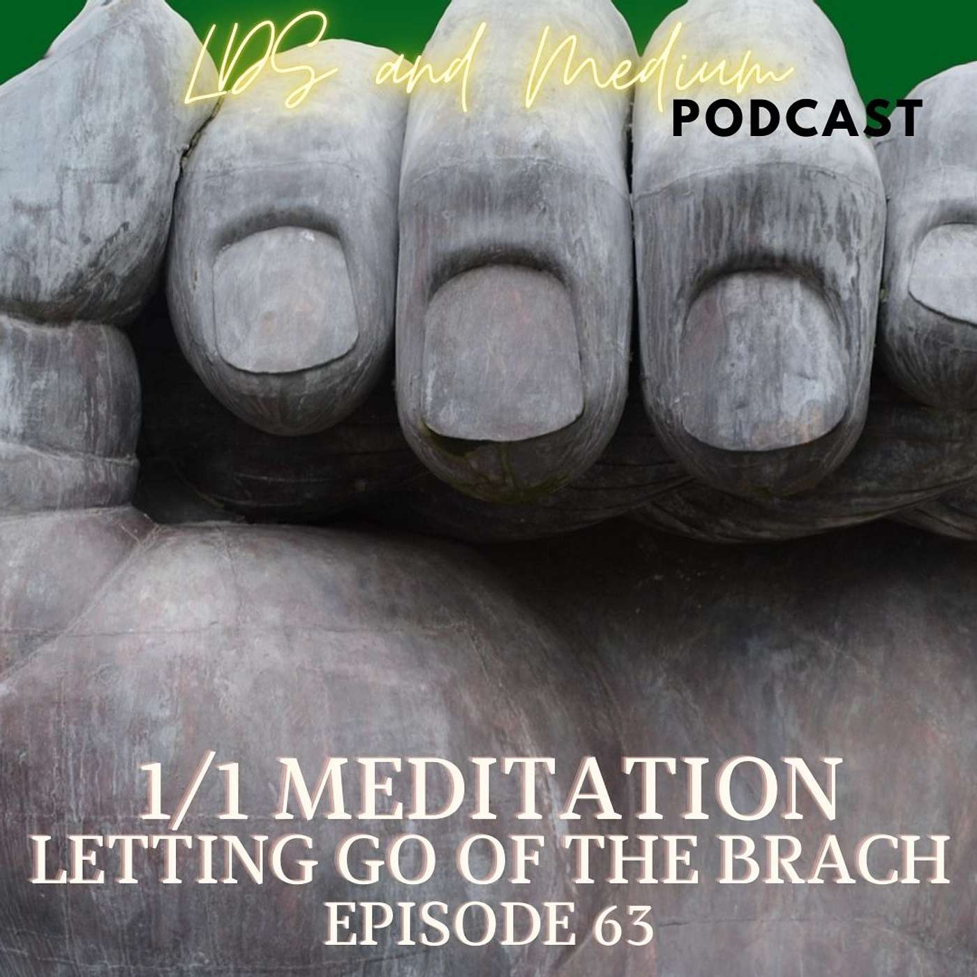 January 1st (2026): Guided Meditation: Letting Go of the Branch