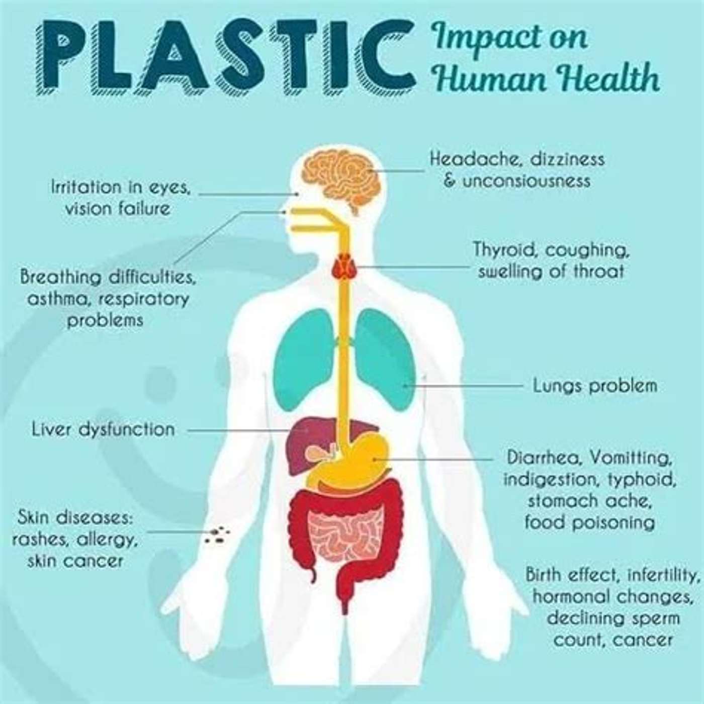 Microplastics they are now everywhere in nature!!!!
