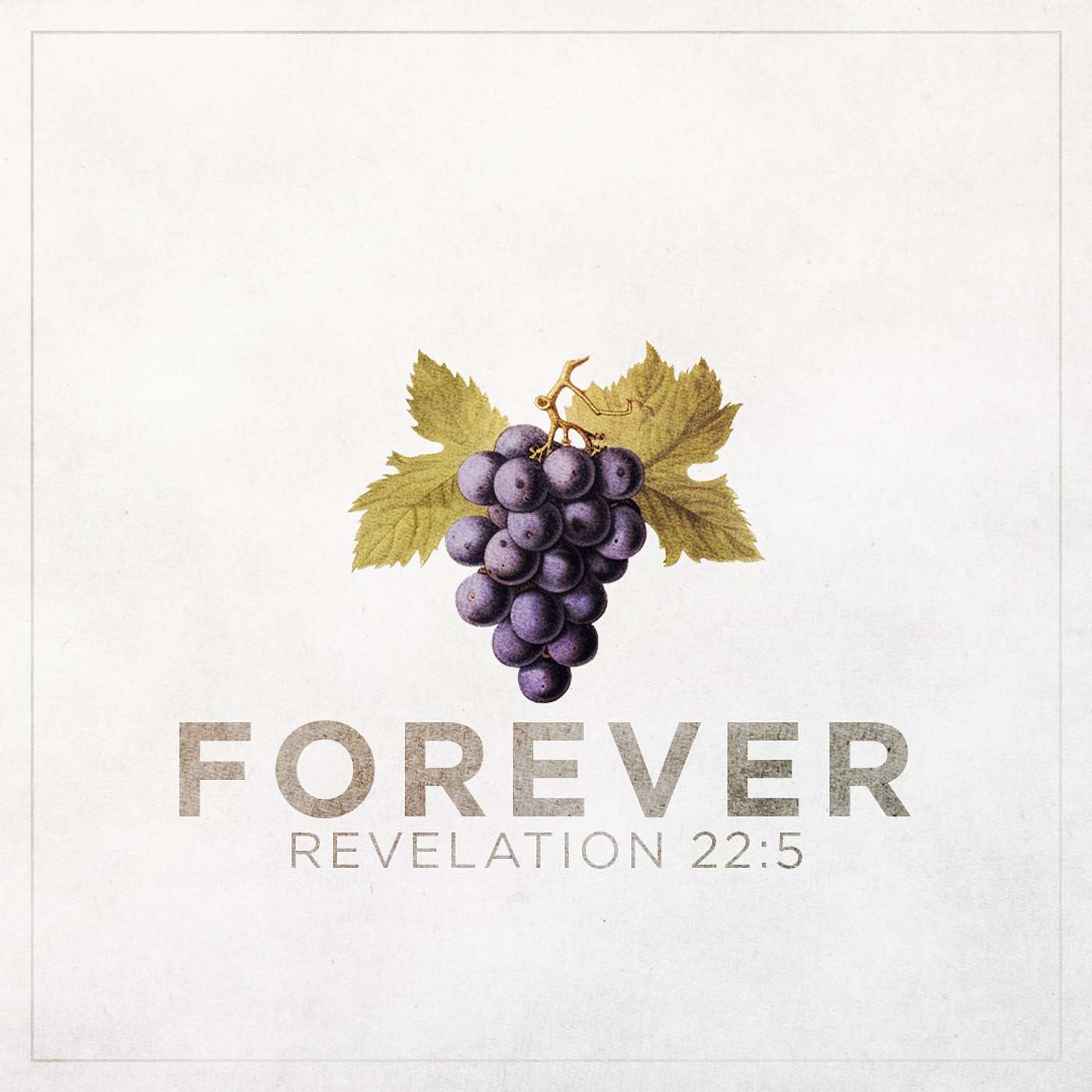 8/24/25 - Revelation 22:5: Forever - Steve Gee