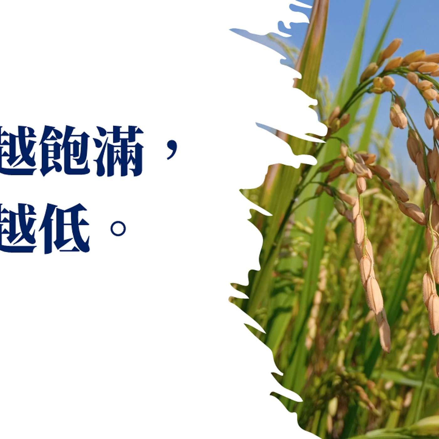 謙卑，從虛己到豐盛