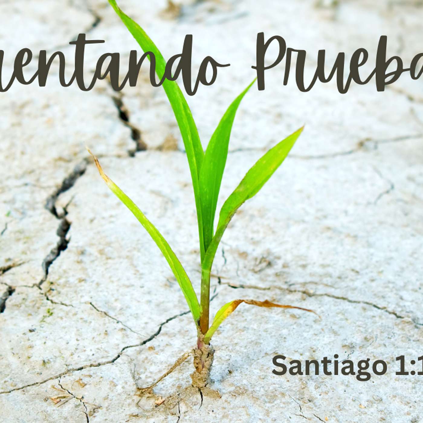 Enfrentando Pruebas