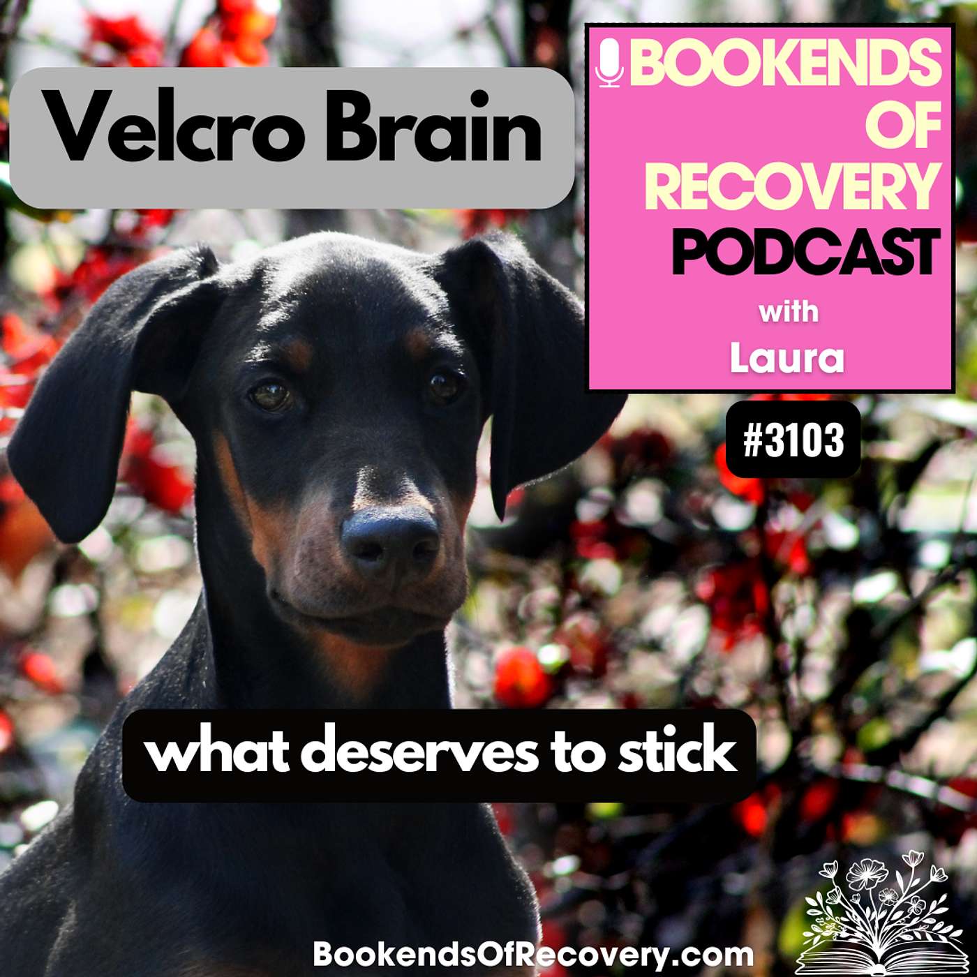 The Velcro Brain: Learning What Deserves to Stick episode artwork