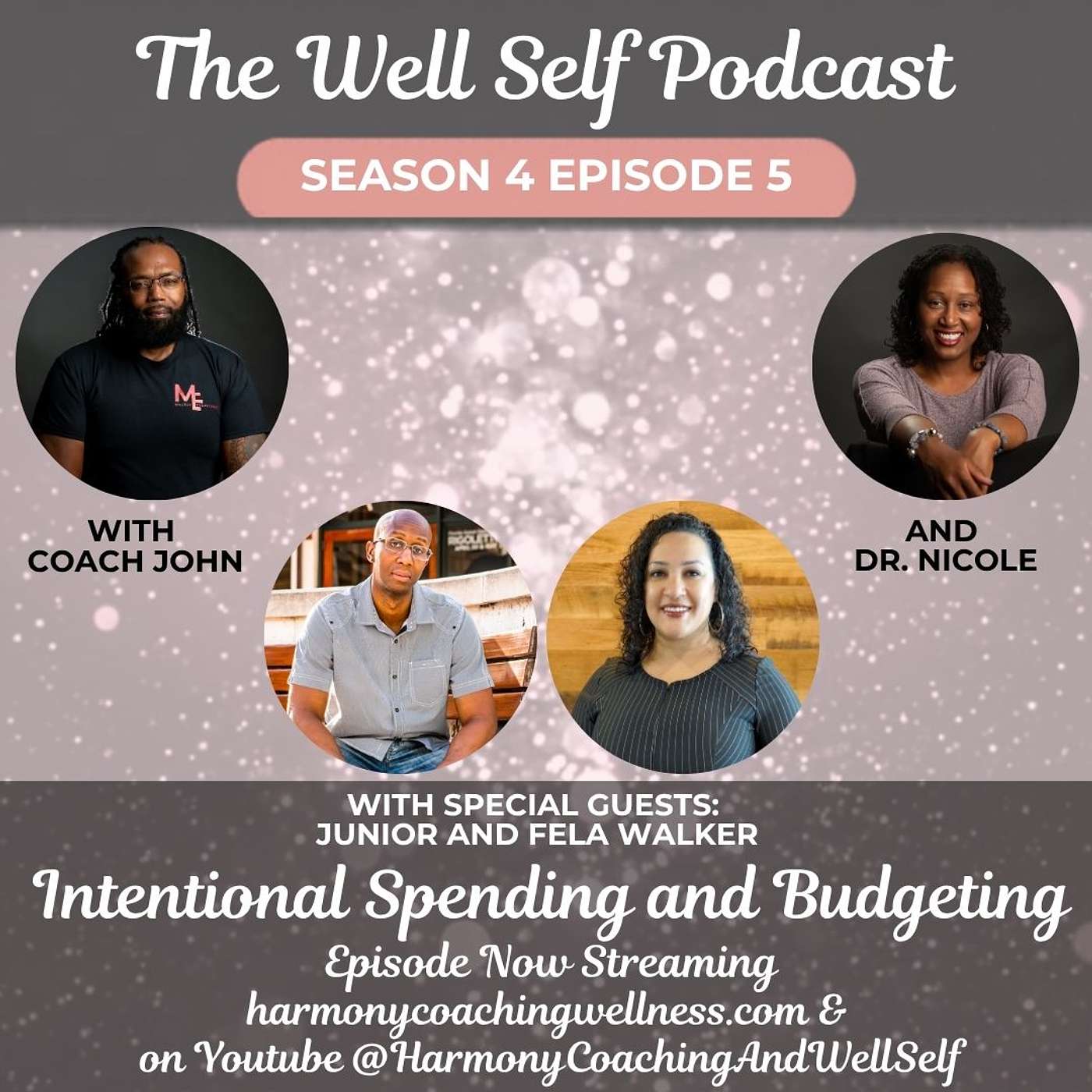 Intentional Spending and Budgeting (S4E5) episode artwork