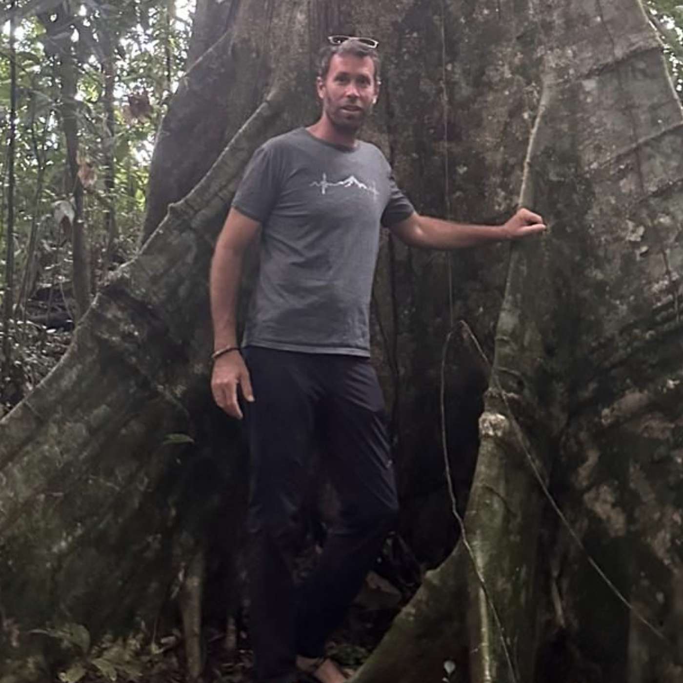 יאיר וזמן האילנות