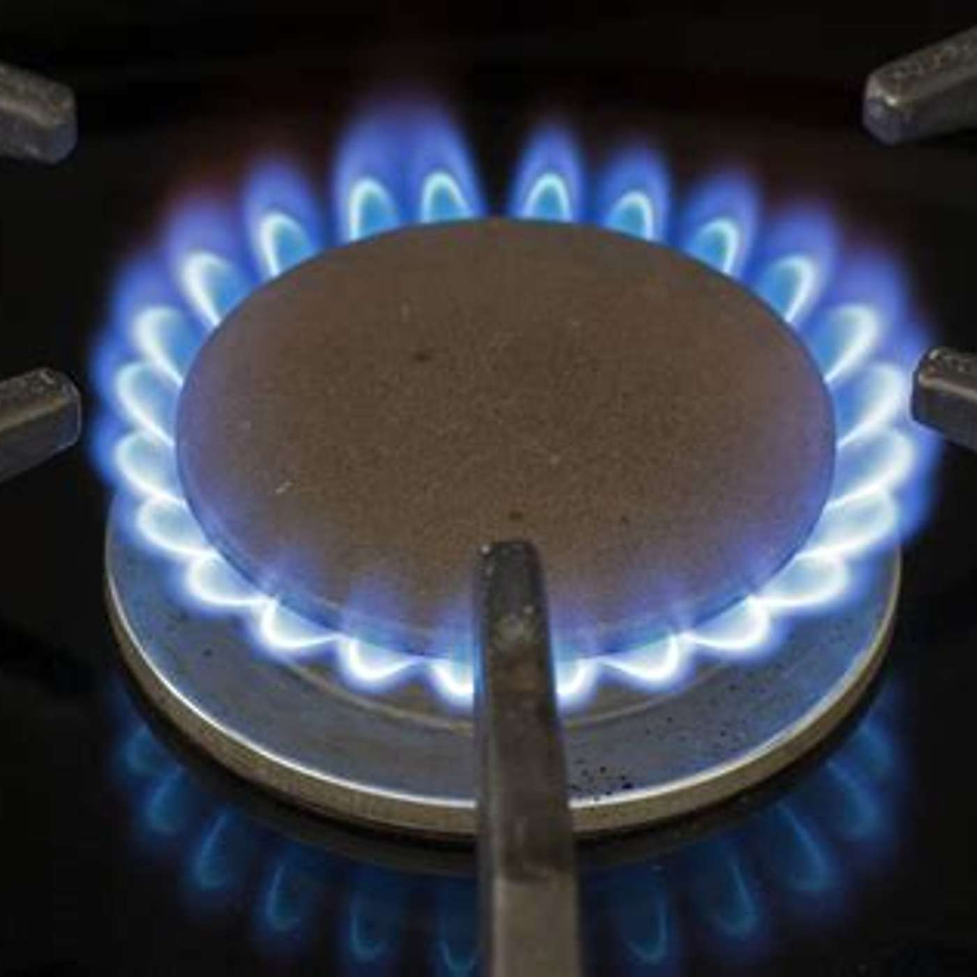 Gas Stoves episode artwork