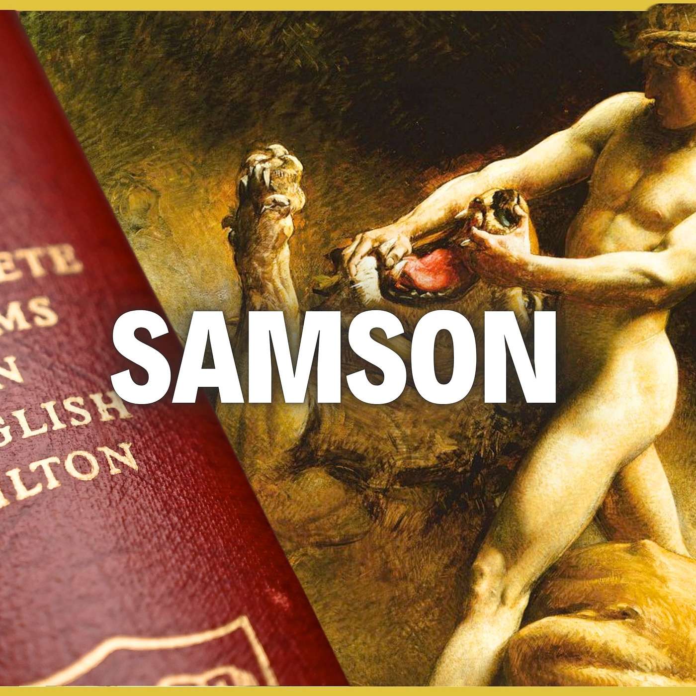 The Cause - Rob Pirie