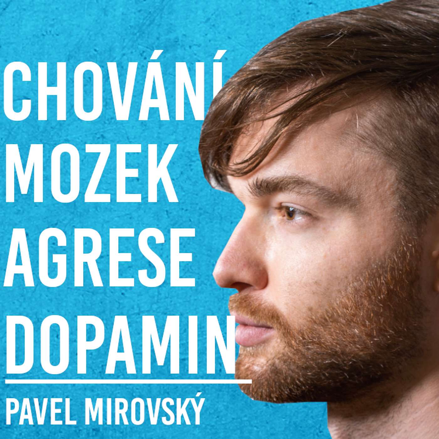 Pavel Mirovský Podcast
