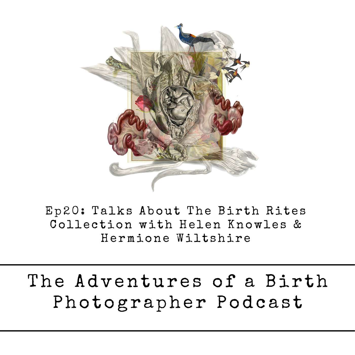 The Adventures of a Birth Photographer