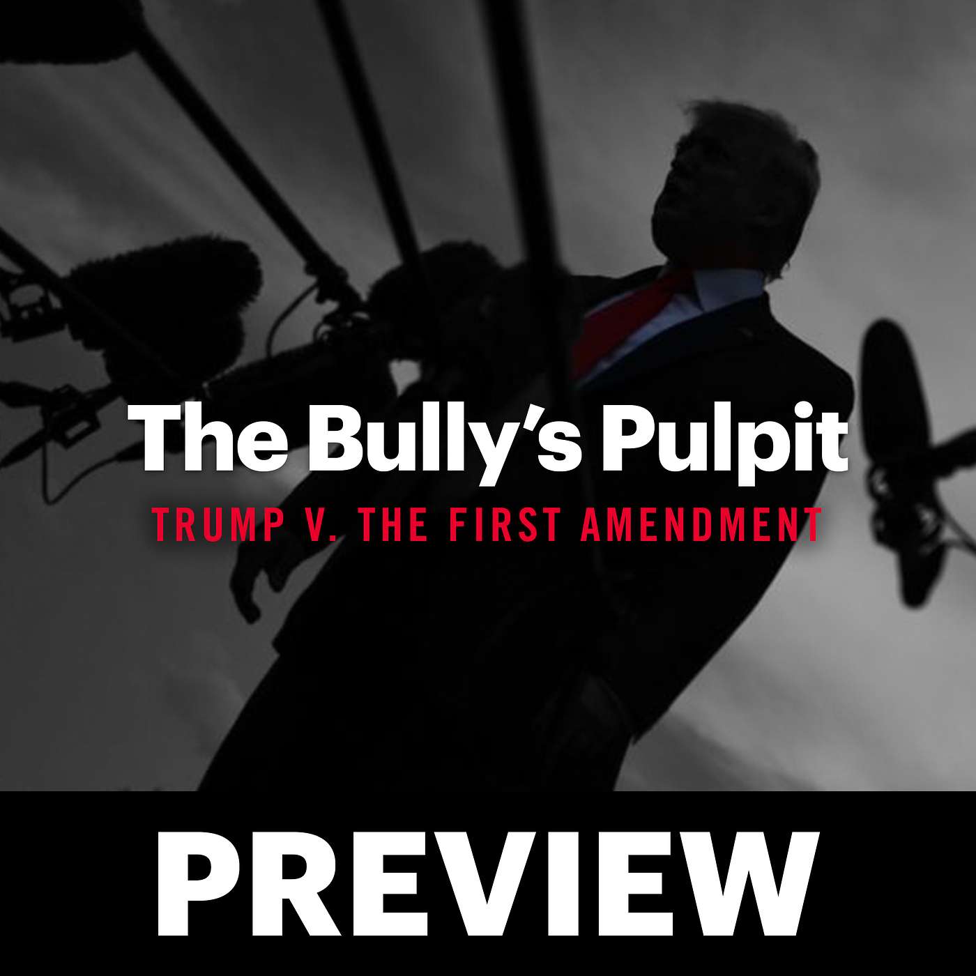 The Bully\'s Pulpit: Trump v. The First Amendment