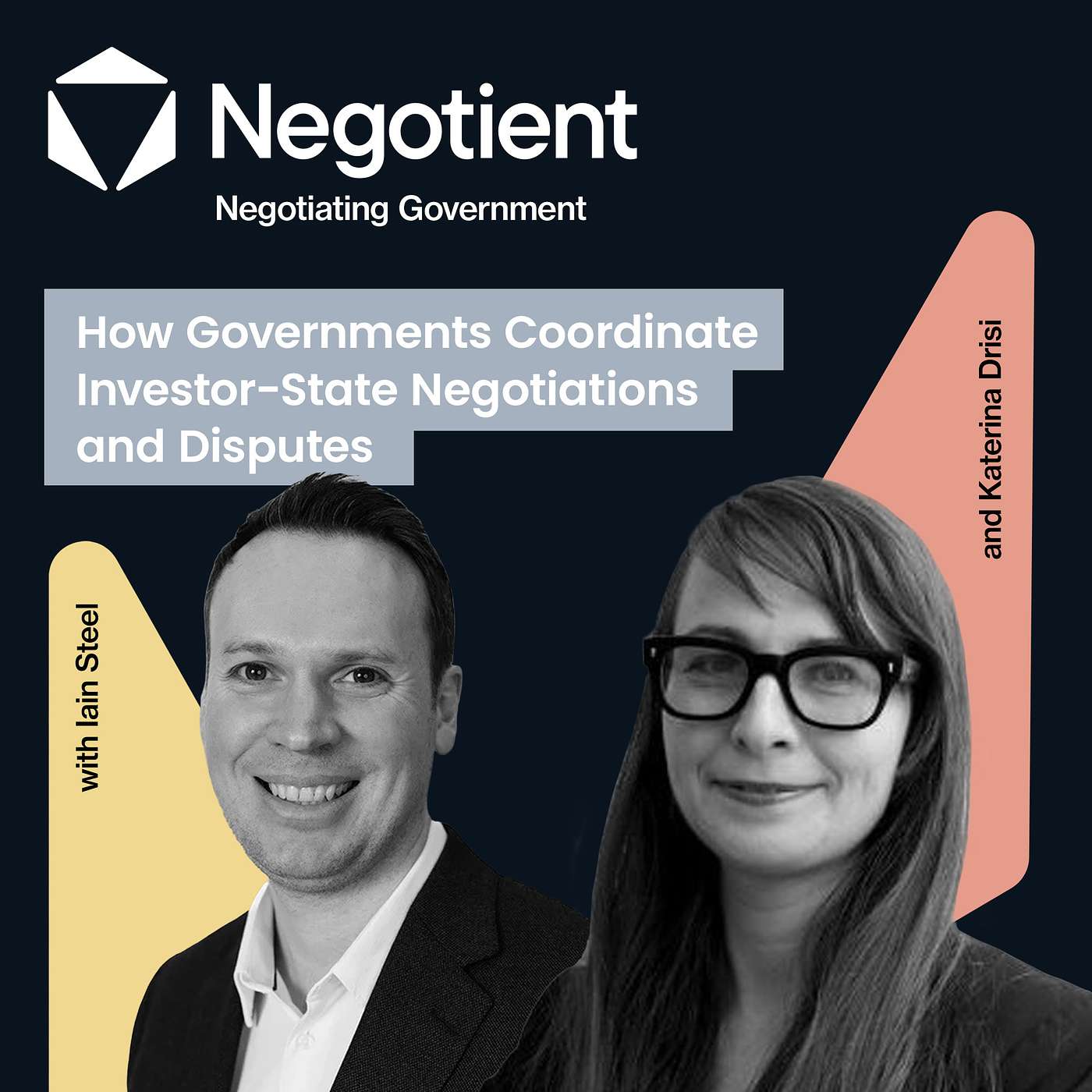 How Governments Co-ordinate Investor-State Negotiations and Disputes episode artwork