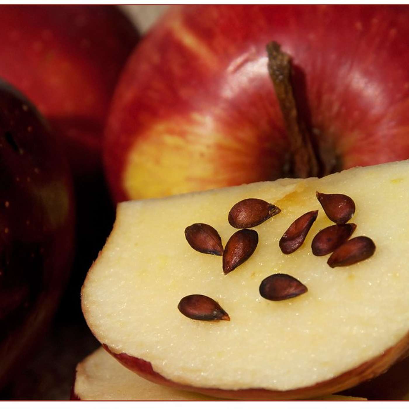 Episode 276 - One Great Trip + One Tiny Apple Seed = Two Awesome Miracles!