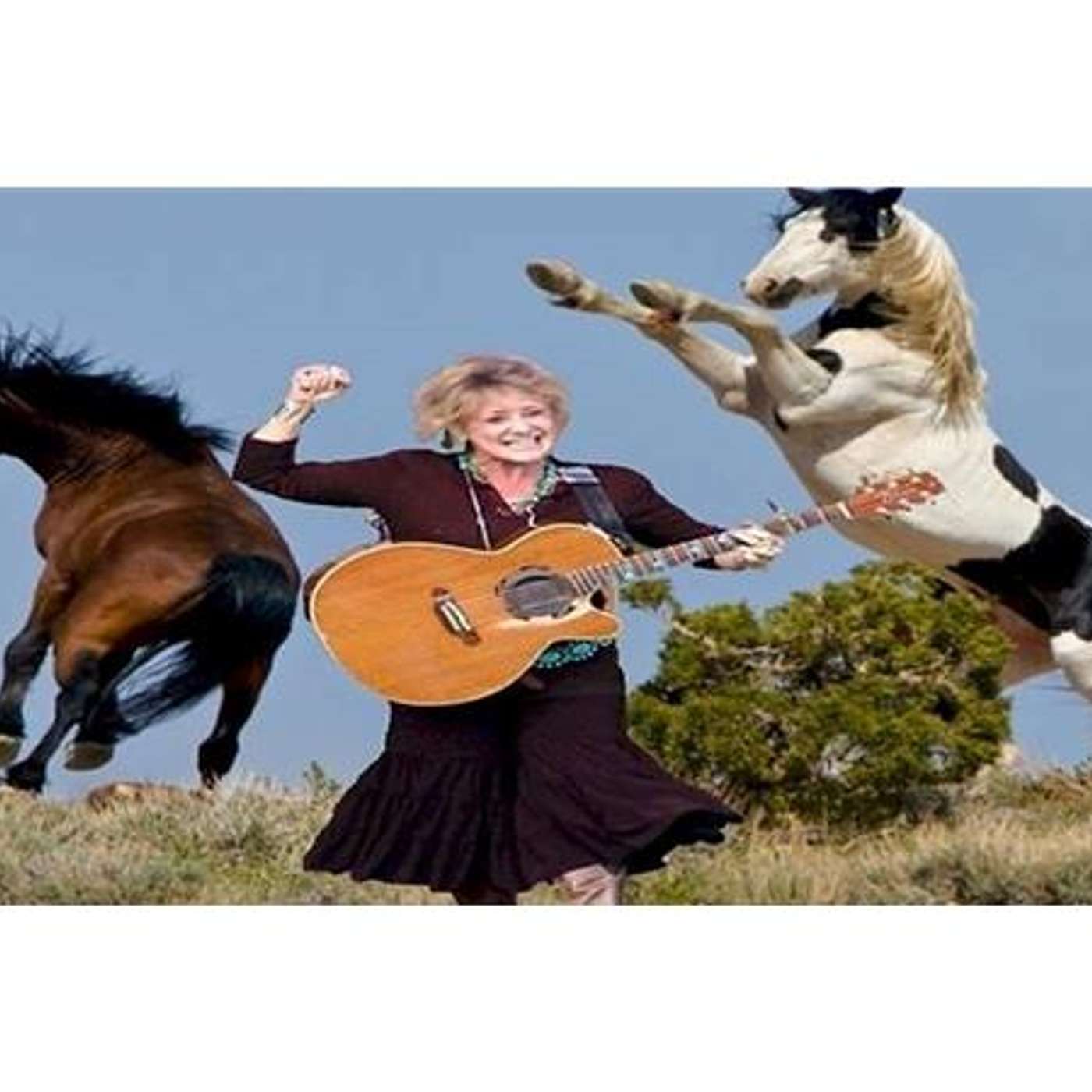 Equestrian Legacy Radio