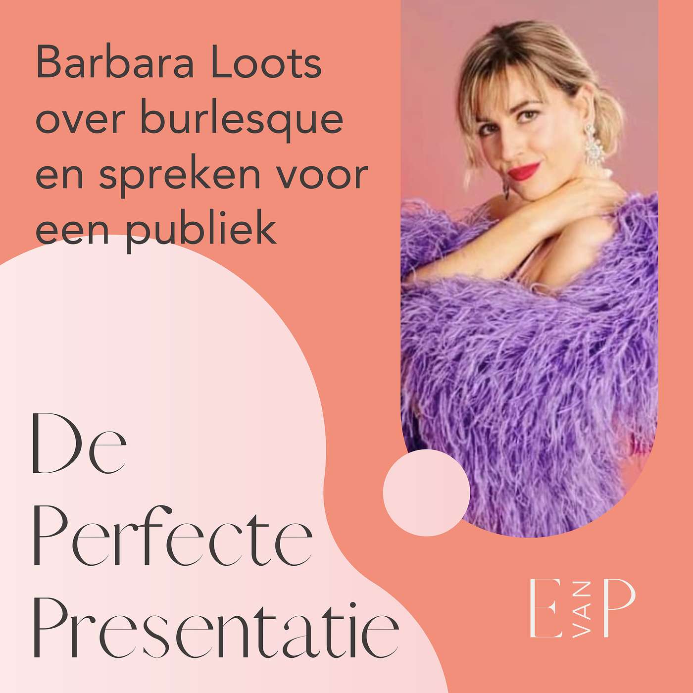 De perfecte presentatie